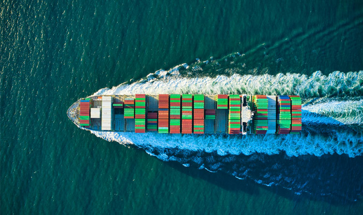 Master’s Handbook for BULK CARRIERS